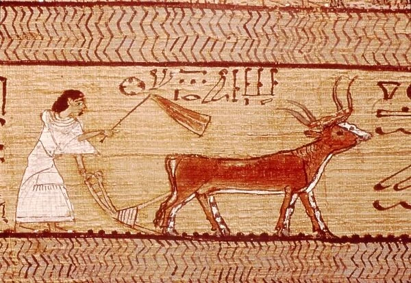 Egyptian Papyrus of Ani Ploughing, Theban Book of the Dead, c1250 BC