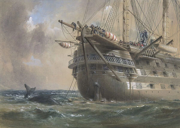 H. M. S. Agamemnon Laying the Atlantic Telegraph Cable in 1858: a Whale Crosses the Line