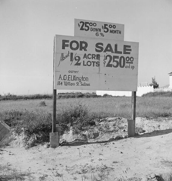 Housing for rapidly growing fringe of lettuce workers on edge of town, Salinas, California, 1939. Creator: Dorothea Lange