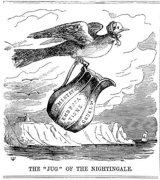 The Jug of the Nightingale, 1854