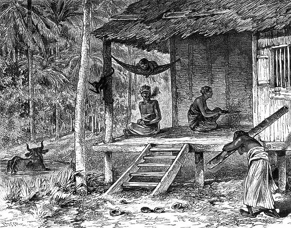 Malaysian hut, 19th century. Artist: Dosso