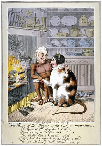 The man of the woods & the cat-o -mountain, 1821