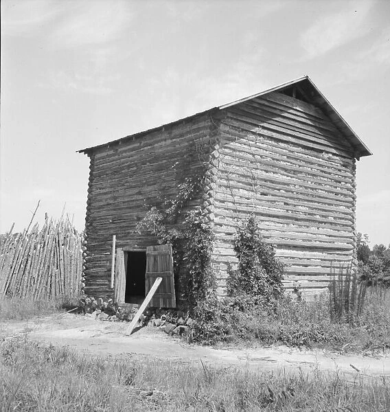 The old tobacco barn (new one under construction. ), Chatham County, North Carolina, 1939. Creator: Dorothea Lange