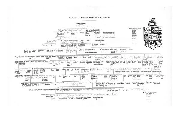 Pedigree of the Frowykes of Old Fold, 1886