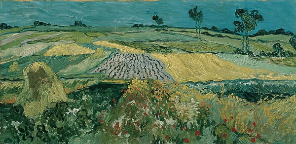The Plain of Auvers, 1890. Artist: Gogh, Vincent, van (1853-1890)