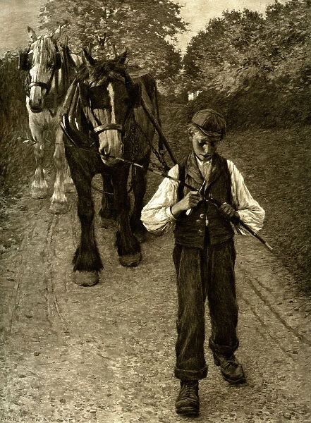 The Plough Boy, 1900