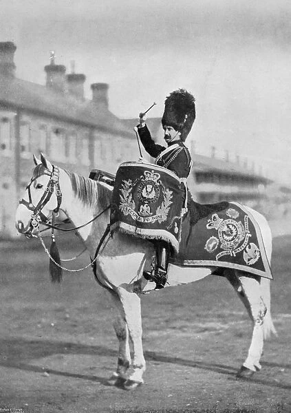 Plum Duff, the drum-horse of the Royal Scots Greys, 1896. Artist: Gregory & Co