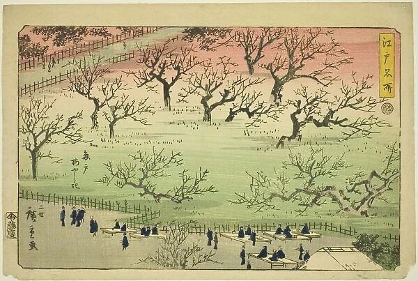 Plum Garden at Kameido (Kameido Umeyashiki), from the series 'Famous Places in Edo... 1859. Creator: Utagawa Hiroshige II. Plum Garden at Kameido (Kameido Umeyashiki), from the series 'Famous Places in Edo... 1859