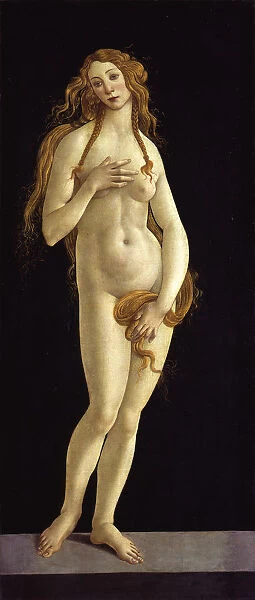 Venus, 1490