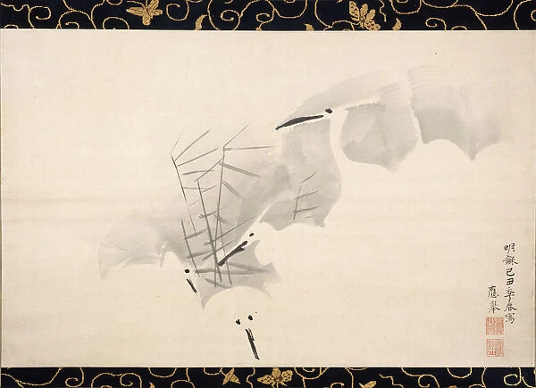 White Herons, 1769. Creator: Maruyama Okyo