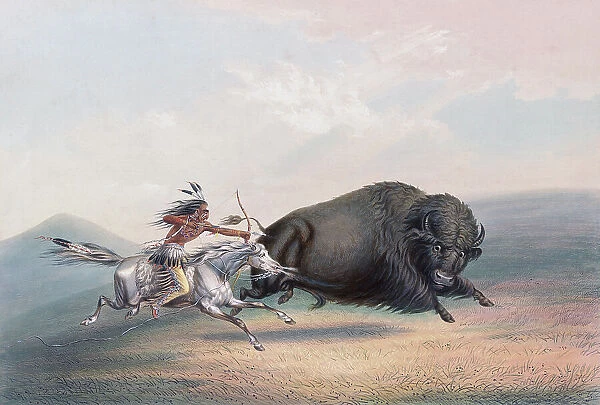 Bison Buffalo Hunt Chase Plains Indian Indians