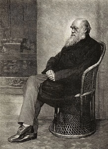 Charles Darwin, 1809 -1882. British Naturalist. From A Photograph (1874?) By Captain L. Darwin, R. E. Engraved For The Century Magazine January 1883. From The Book The Life And Letters Of Charles Darwin, Volume 2. Published London 1887