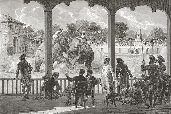 An Elephant Fight, Baroda, India In The 19Th Century. From El Mundo En La Mano, Published 1878