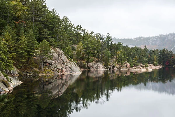 Green Coniferous Forest On A Tranquil Lake Shore With Red Rock Geological Formations; Killarney, Ontario, Canada