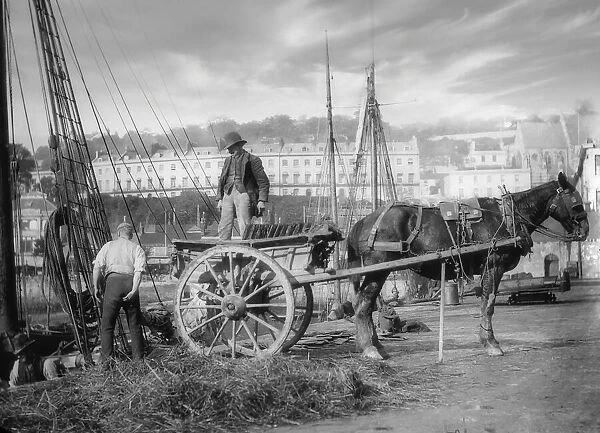 Horse and cart on Jetty at Torquay