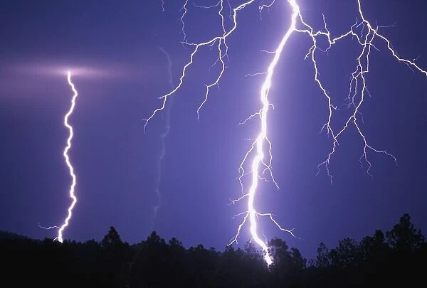 Lightning Bolts In Night Sky