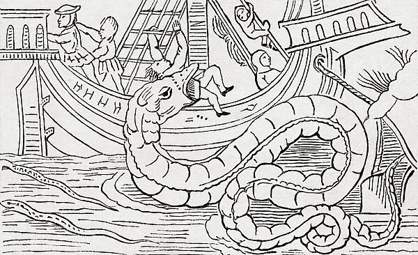 Man being eaten by a sea serpent. After a facsimile from Olaus Magnus: De Gentibus Septentrionalibus, 1555. From The Universe or, The Infinitely Great and the Infinitely Little, published 1882