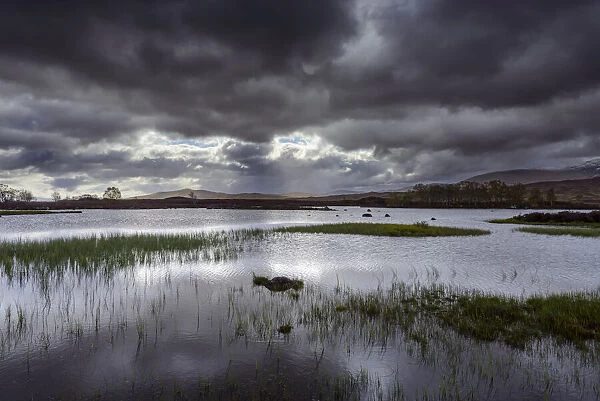 Moor landscape with lake and grassy patches and dark storm clouds at Rannoch Moor in Scotland, United Kingdom