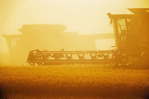 Paplow Harvesting Company Custom Combines A Wheat Field, Near Ray; North Dakota, United States Of America