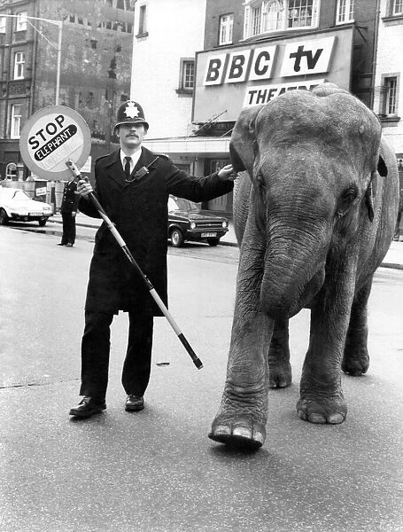 Animals: Elephants. Vicky the elephant. May 1981 P011796