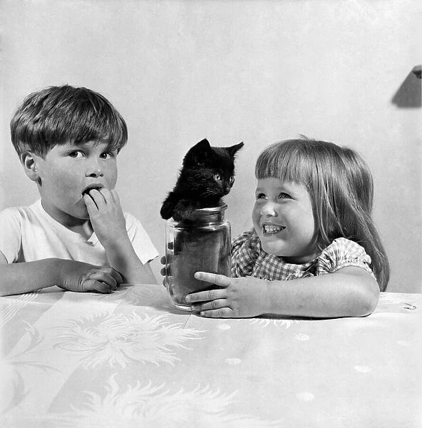 Children watch Bugsy the Kitten playing with a Jam jar. July 1953 D3499