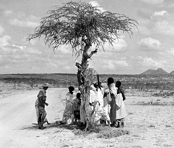 Local Somaliland people by a tree Circa 1935