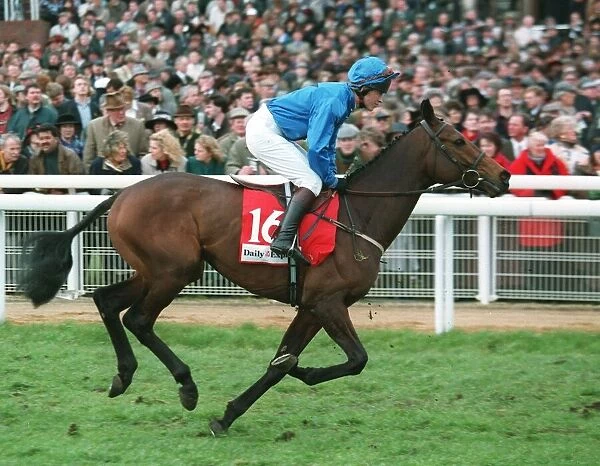 Marlino Racehorse 14 March 1995 Date: 14 March 1995