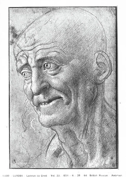 Male portrait. Drawing by Lorenzo di Credi, in the British Museum in London