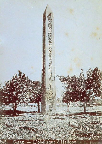 The Obelisk of Heliopolis in Cairo