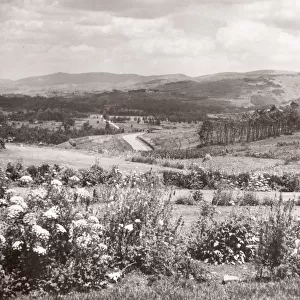 1940s East Africa - Uganda - typical scenery Kabale Ankole