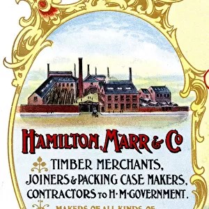 Advert, Hamilton, Marr & Co, Timber Merchants, Glasgow
