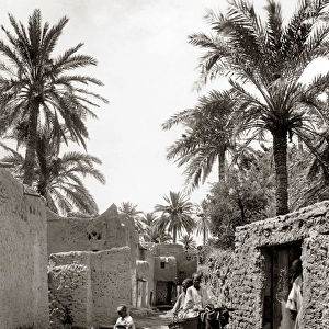 Algeria, a street in old Biskra