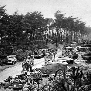 Allied Troops in the Reichswald Forest; Second World War, 19