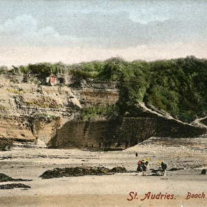 Beach & Cliffs, St Audries, Somerset