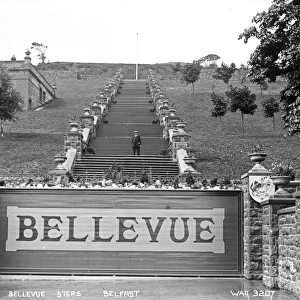 Bellevue Steps, Belfast