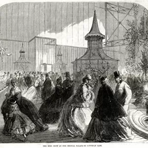 Bird show, Crystal Palace 1865