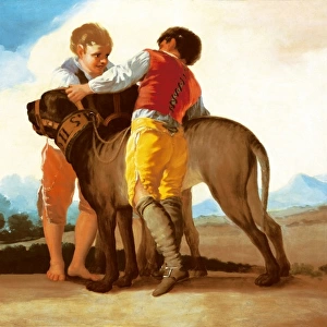 Two Boys with Mastiff