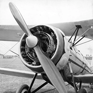 Bristol Bulldog IVA R-8 fitted with Perseus IA radial