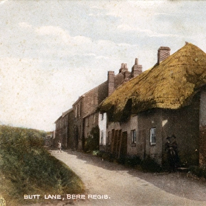 Butt Lane, Bere Regis, Dorset