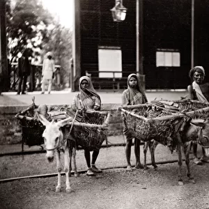 c. 1880s India- donkey carts with panniers and load