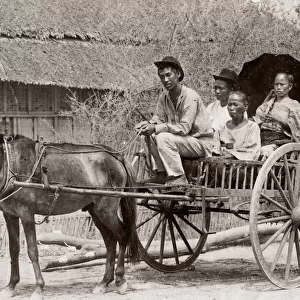 c. 1880s South East Asia - Philippines - pony and trap