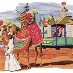 Camel Palanquin Date: 1950