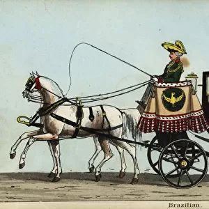 Carriage of the Brazilian minister, M. Galvao, in