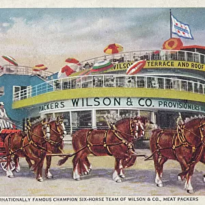 Champion Six-horse team of Wilson & Co. Meat Packers