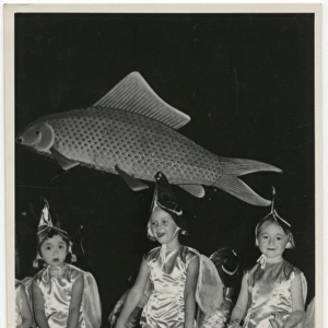 A childrens stage production - Hong Kong - Fish Costumes