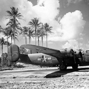 Consolidated B-24D Liberator -shown amid Pacific palms