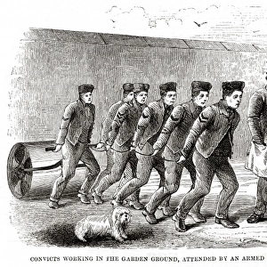 Convicts working in garden, Millbank Prison