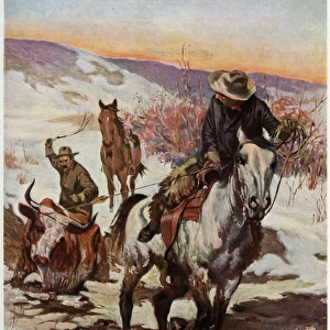 Cowboys Rescuing Cattle
