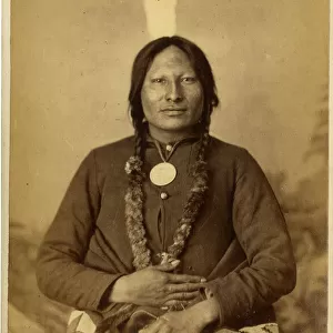 David Frances Barry photo - Chief Rain in the Face