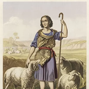 David as a Shepherd